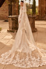 Pronovias Centia Wedding Gown