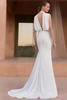 Pronovias Cinabar Wedding Gown