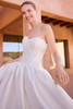 Pronovias Dolomira Wedding Gown