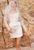 Pronovias Enahlia Wedding Gown