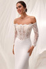 Pronovias Liorae Wedding Gown