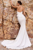 Back view of Pronovias Rendra fit-and-flare wedding gown without detachable chiffon cape