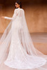Pronovias Tzoe Wedding Gown
