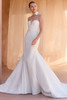 Pronovias Wennie Wedding Gown