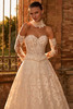 Pronovias Wrem Wedding Gown