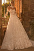 Pronovias Wrem Wedding Gown