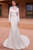 Pronovias Yasminel Wedding Gown