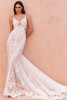Pronovias Ysola Wedding Gown