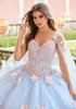 Beaded bodice and floral applique detail on Princesa gown