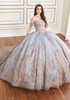 Gray Gold ball gown with glitter tulle and lace embroidery