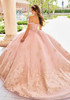 Back view of Blush Gold quinceañera gown with full skirt