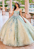 Sage Champagne ball gown with floral appliqué and Cracked Ice sparkle