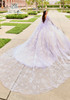 Back view of Lilac Champagne gown with long cape