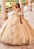 Champagne Gold ball gown with lace appliqué and glitter tulle