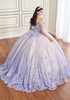 Back view of Lavender Champagne ball gown with train