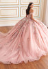Back view of Garden Rose ball gown with cathedral train