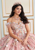 Garden Rose quinceañera gown with floral appliqué and beadwork