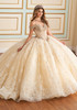 Ivory Champagne ball gown with embroidered lace and glitter tulle
