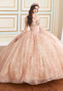 Rose Gold ball gown with embroidered lace and glitter tulle