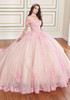 Strawberry Shortcake ball gown with floral appliqué and glitter tulle