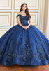 Navy blue ball gown with floral embellishments and glitter tulle