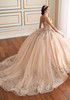 Back view of ball gown with cathedral train and bow