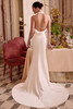 Justin Alexander Lexi 88465 wedding gown back view showing low open back and flowing chapel train