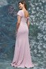 MGNY 2070028 Blush Mothers Gown Back View
