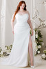 Julietta Plus Size Wedding Gown Mariposa
