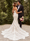 Sophia Tolli Wedding Dress Tamara Y22042