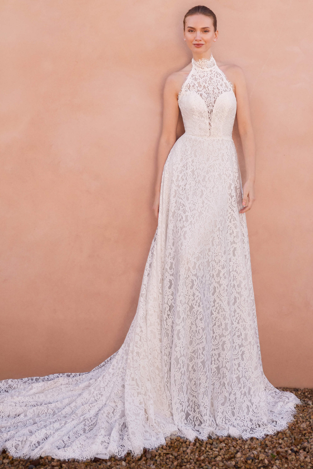 pronovias halter wedding dress Erdith low back halter wedding dress