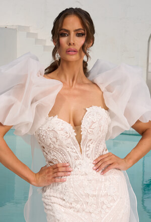 Couture Collections
