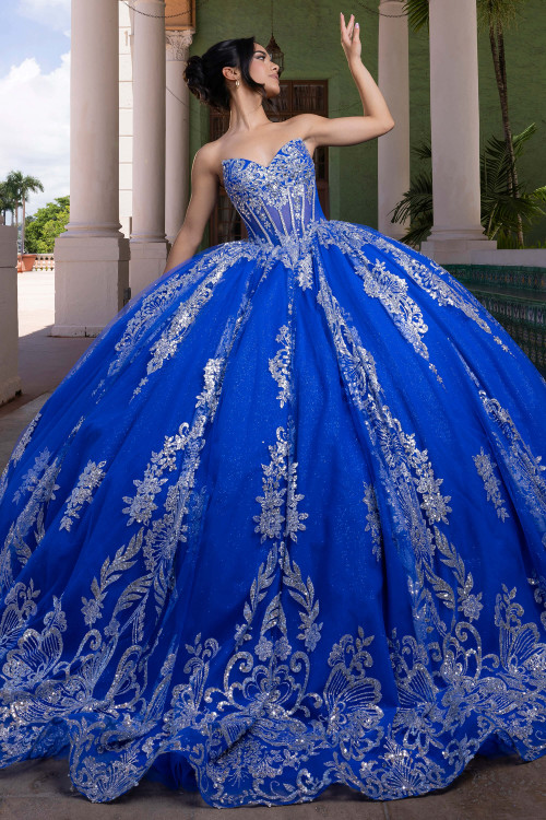 Vizcaya 4080021 regal royal silver cat eye quinceanera ball gown, front view