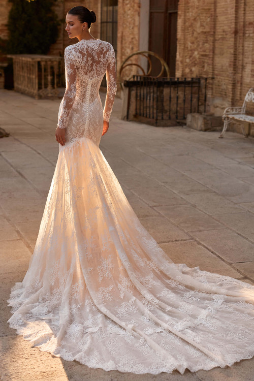 Pronovias Alphey Wedding Gown