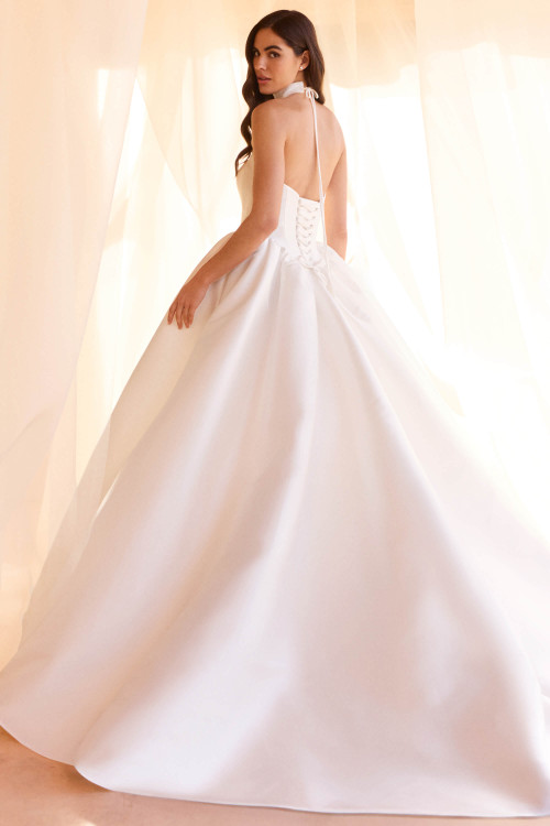 Pronovias Chromelle Wedding Gown