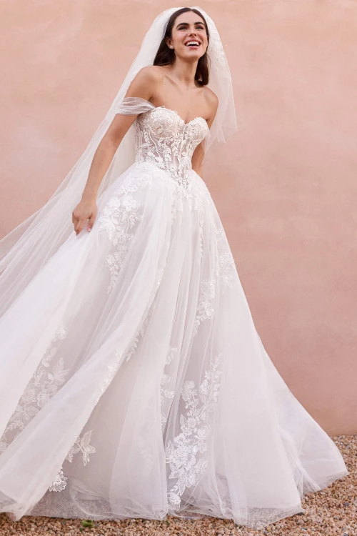 Pronovias Craly Wedding Gown