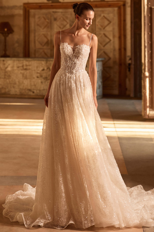 Pronovias Debony Wedding Gown