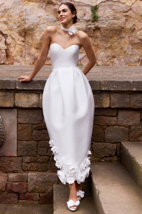 Pronovias Elviana Wedding Gown