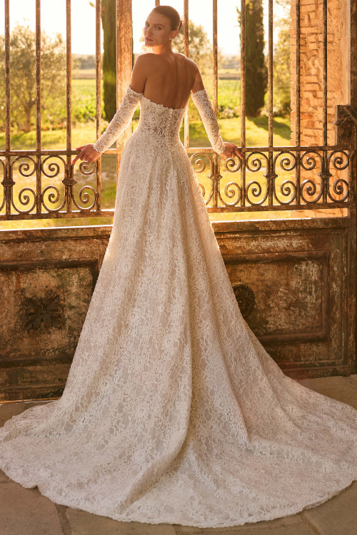 Pronovias Kaitos Wedding Gown