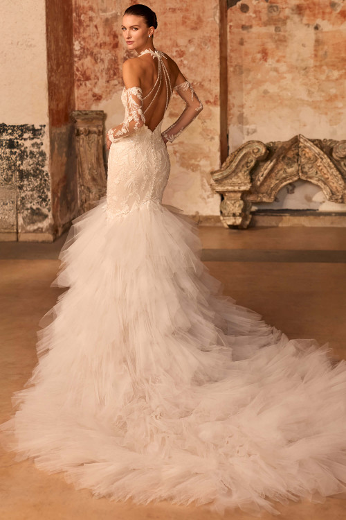 Pronovias Viviey Wedding Gown