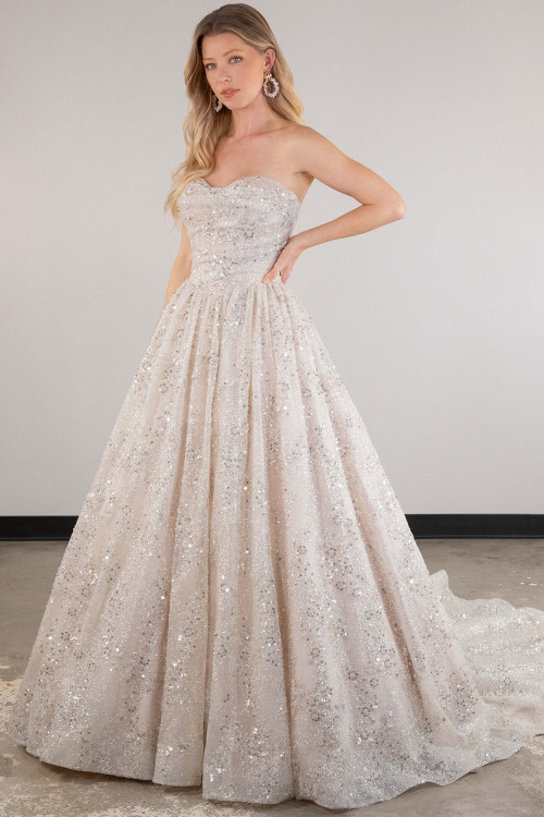 Dazzling from every angle, this strapless gown shimmers in silver sequin perfection Dazzling from every angle, this strapless gown shimmers in silver sequin perfection
