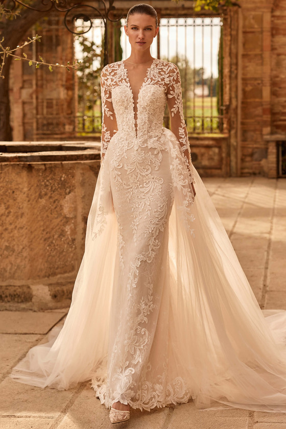 Pronovias Centia Wedding Gown