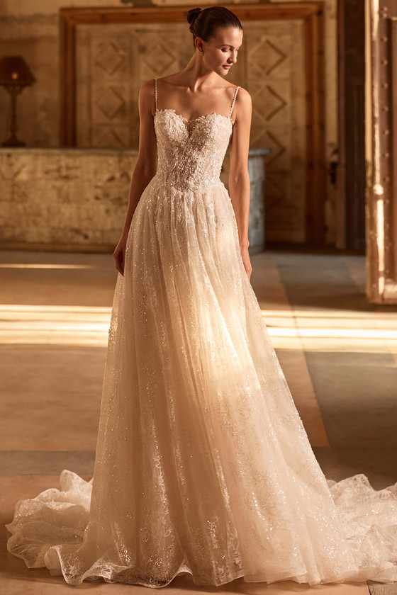 Pronovias Debony Wedding Gown