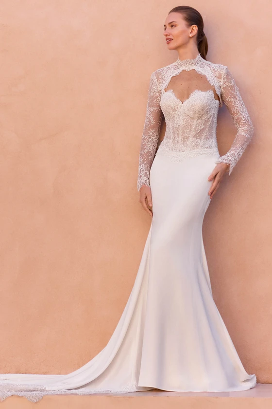 Pronovias Maiae Wedding Gown