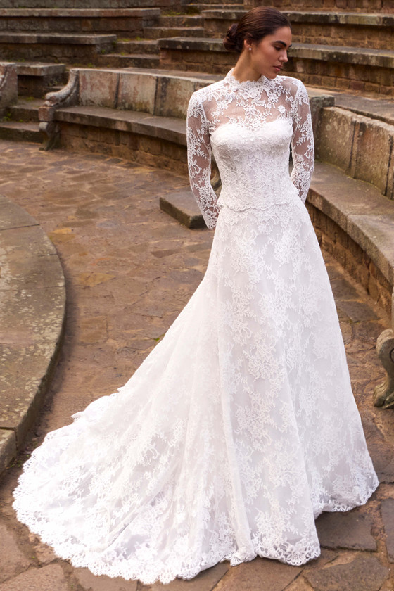 Pronovias Ysobel Wedding Gown