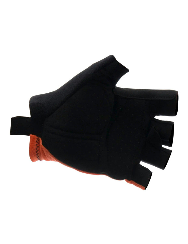 Brisk Gloves