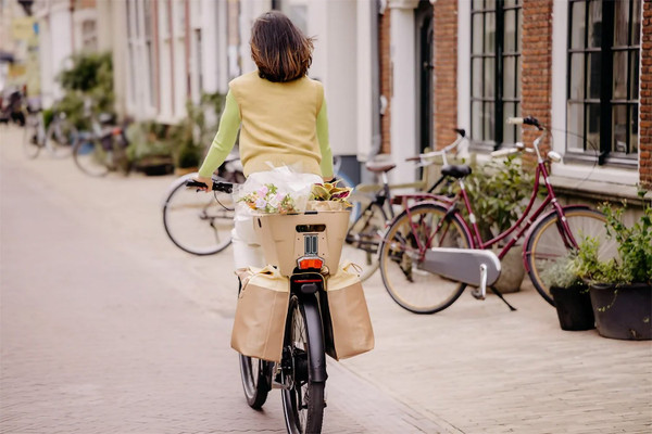 BASIL CENTO NEO WSL REAR BASKET BLK