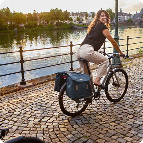 Elegance Double Pannier Bag 