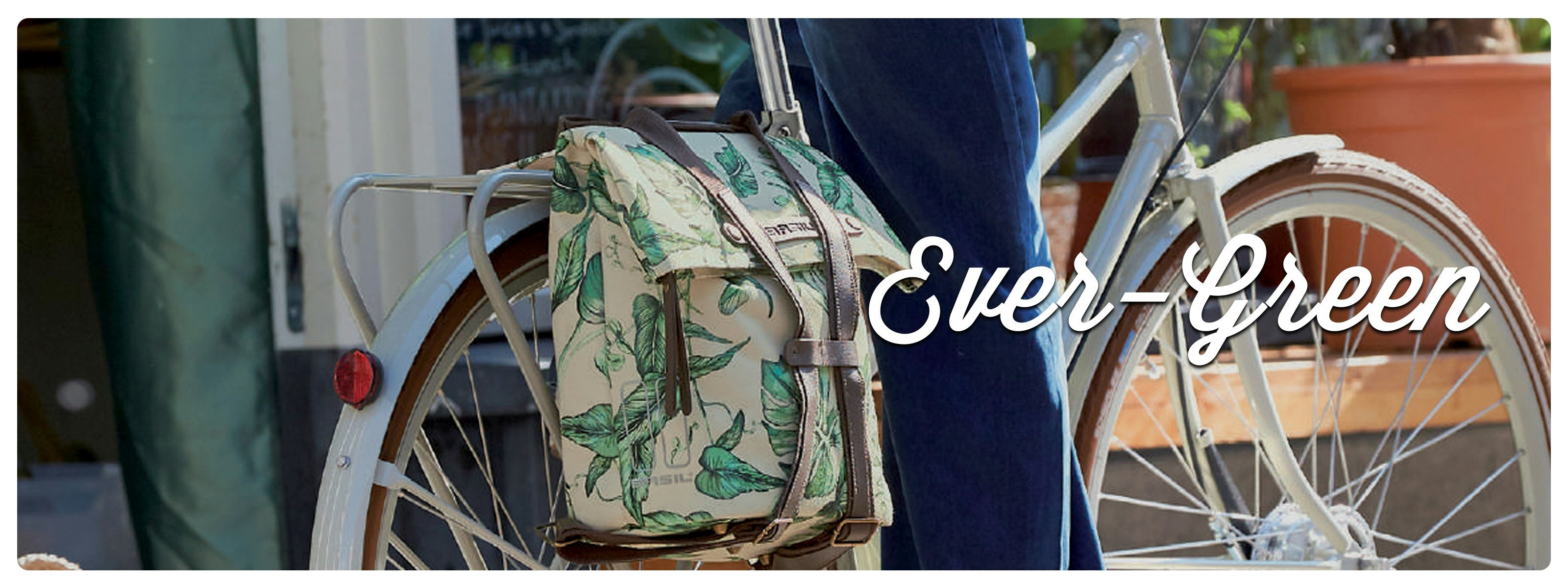 Ever-Green Collection | Basil Australia