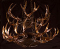 Blown Glass Antler Chandelier, 2 tier